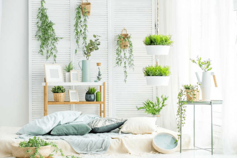 déco printemps avec un matelas blanc par terre couvert de coussins dans une pièce décorée de plantes vertes de différentes taille