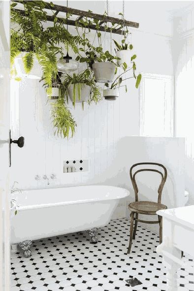 plantes décoratives suspendues à une échelle en bois au dessus d'une baignoire dans une salle de bains