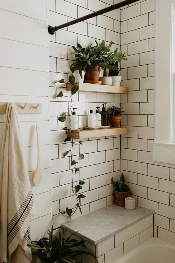 plantes décoratives disposés sur des étagères dans une salle de bains