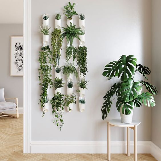 plantes décoratives d'intérieur dans de petits pots blancs accrochés au mur