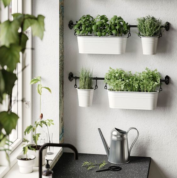 plantes aromatiques accrochées sur un mur de cuisine