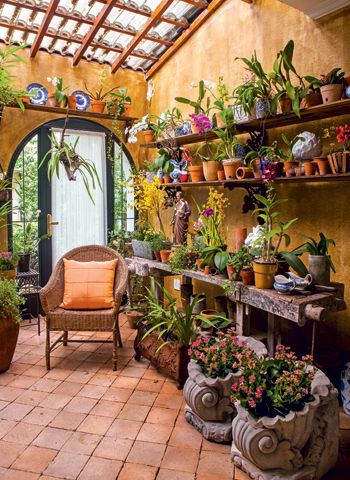 déco jardin d'hiver avec plantes et fleurs en pots sur des étagères