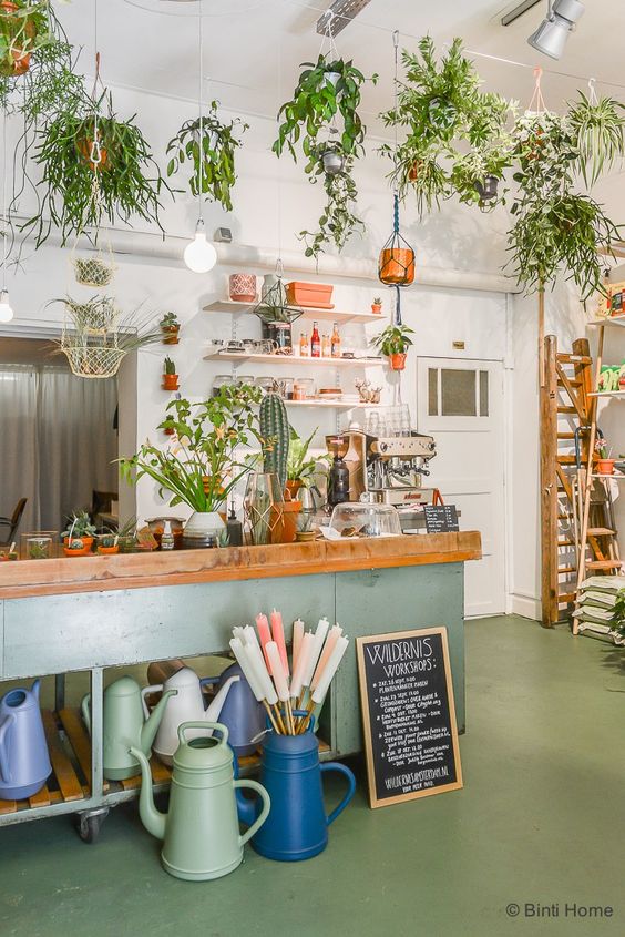 décoration boutique avec pots suspendus de fleurs et de plantes vertes