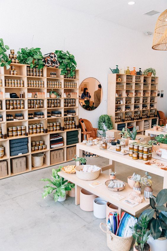 plantes vertes décoratives sur les étagères et casiers en bois pour une décoration boutique naturelle