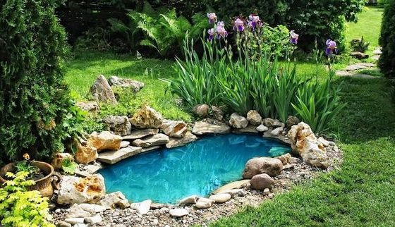 eau turquoise dans un bassin d'eau entouré de galets dans un jardin fleuri