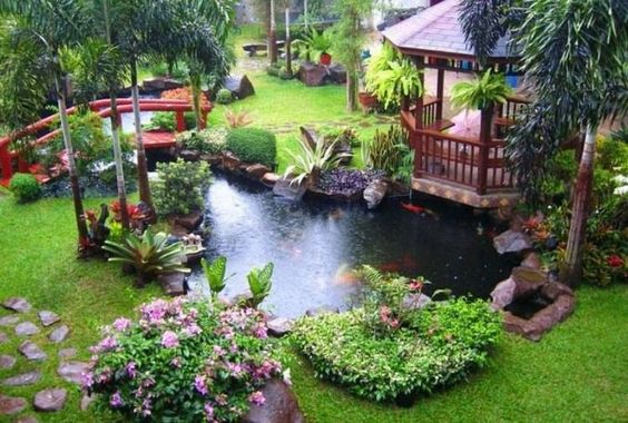 bassin d'eau carpes koï dans un jardin japonais