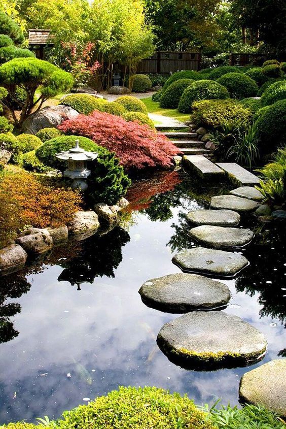 bassin d'eau dans un jardin japonais verdoyant
