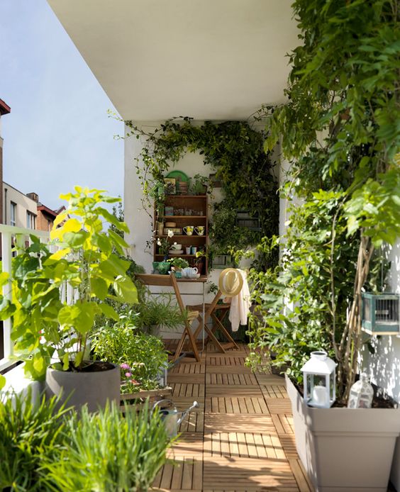 balcon en longueur végétalisé avec plantes grimpantes et fleurs en pots