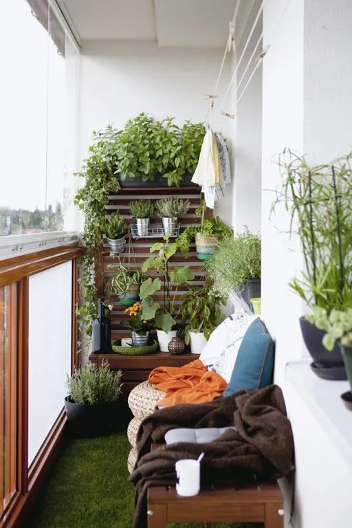 mur végétal aménagé en palettes en bois dans un balcon étroit