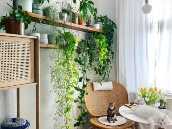 déco murale naturelle avec des plantes vertes tombantes sur des étagères en bois au dessus d'un fauteuil en osier