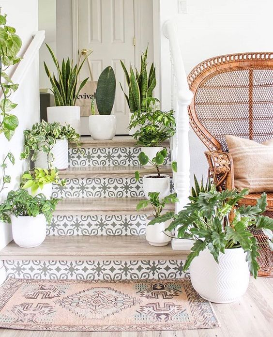 plantes décoratives sur les marches d'un escalier en carrelage méditerranéen