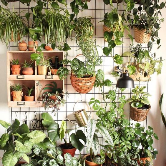 mur végétal avec pots de différentes plantes accrochés à un grillage métallique