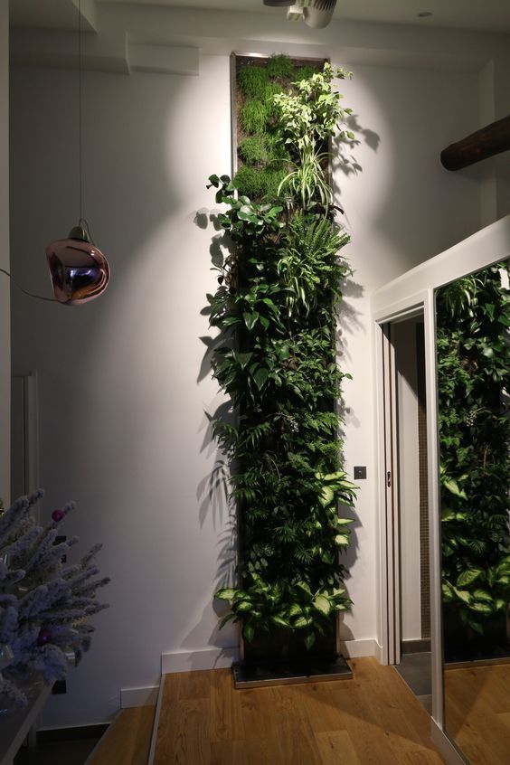 pan de mur végétal avec plantes tombantes en déco murale naturelle