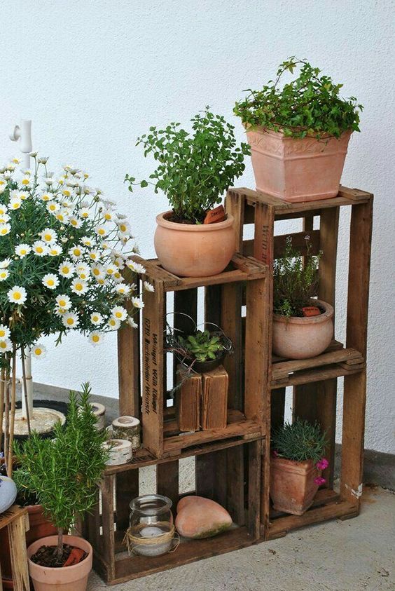 plantes et fleurs en pots décorées dans des caisses de vin en bois
