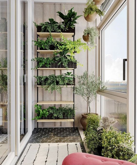 plantes vertes rangées sur des étagères pour décorer le mur d'une loggia