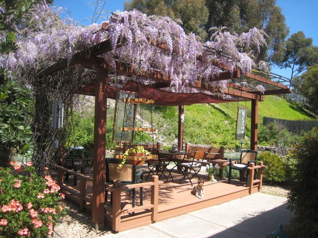 Une belle glycine violette orne la pergola en bois qui ombrage une terrasse