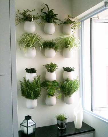 Des pots de plantes aromatiques accrochés au mur constituent une déco de cuisine zen et épurée