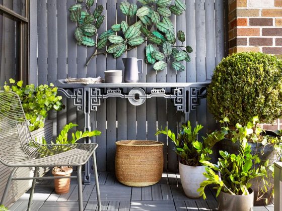 décorer son balcon avec des plantes vertes décoratives