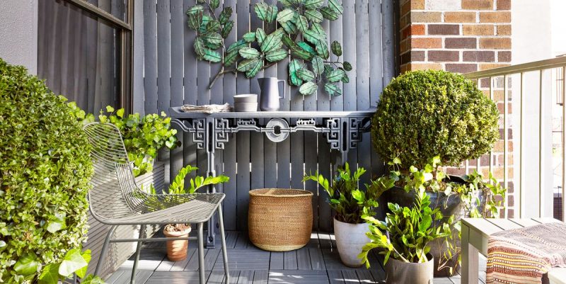 décorer son balcon avec des plantes vertes décoratives