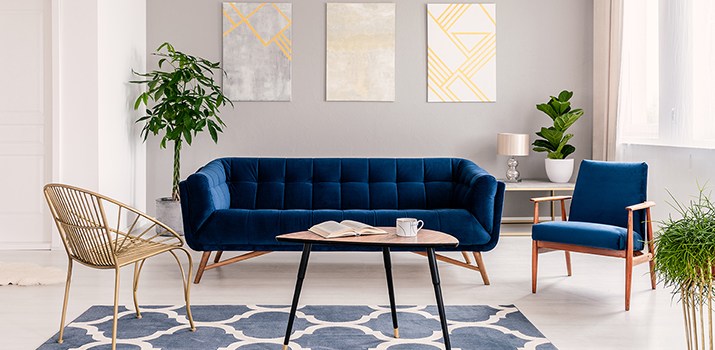 Une décoration cabinet médical avec des meubles de style scandinave, un canapé bleu foncé