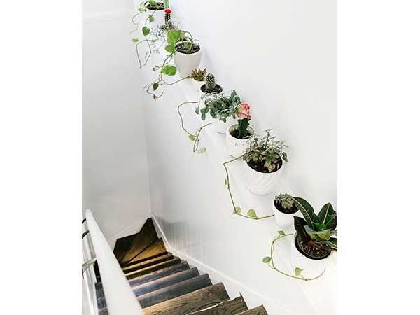 Des pots de plantes vertes joliment alignés sur une corniche, dans la montée d'escalier