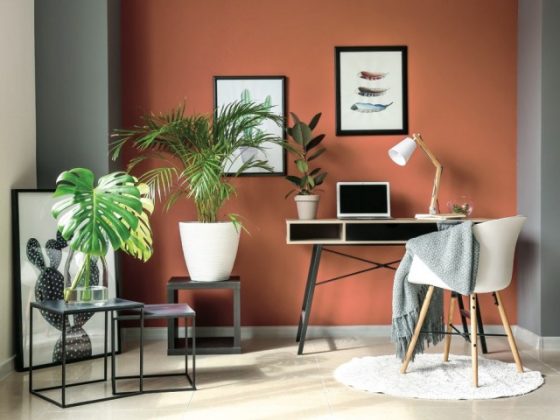 Couleurs tendances 2024 : les teintes en vogue pour la maison