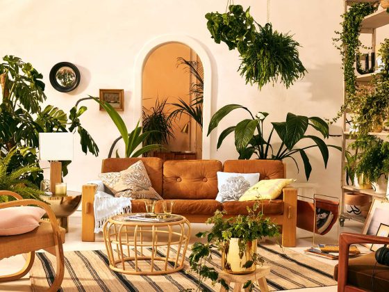 Un grand salon lumineux qui se pare d'une belle déco coloniale, avec un tapis artisanal, des meubles en bois et de nombreuses plantes vertes
