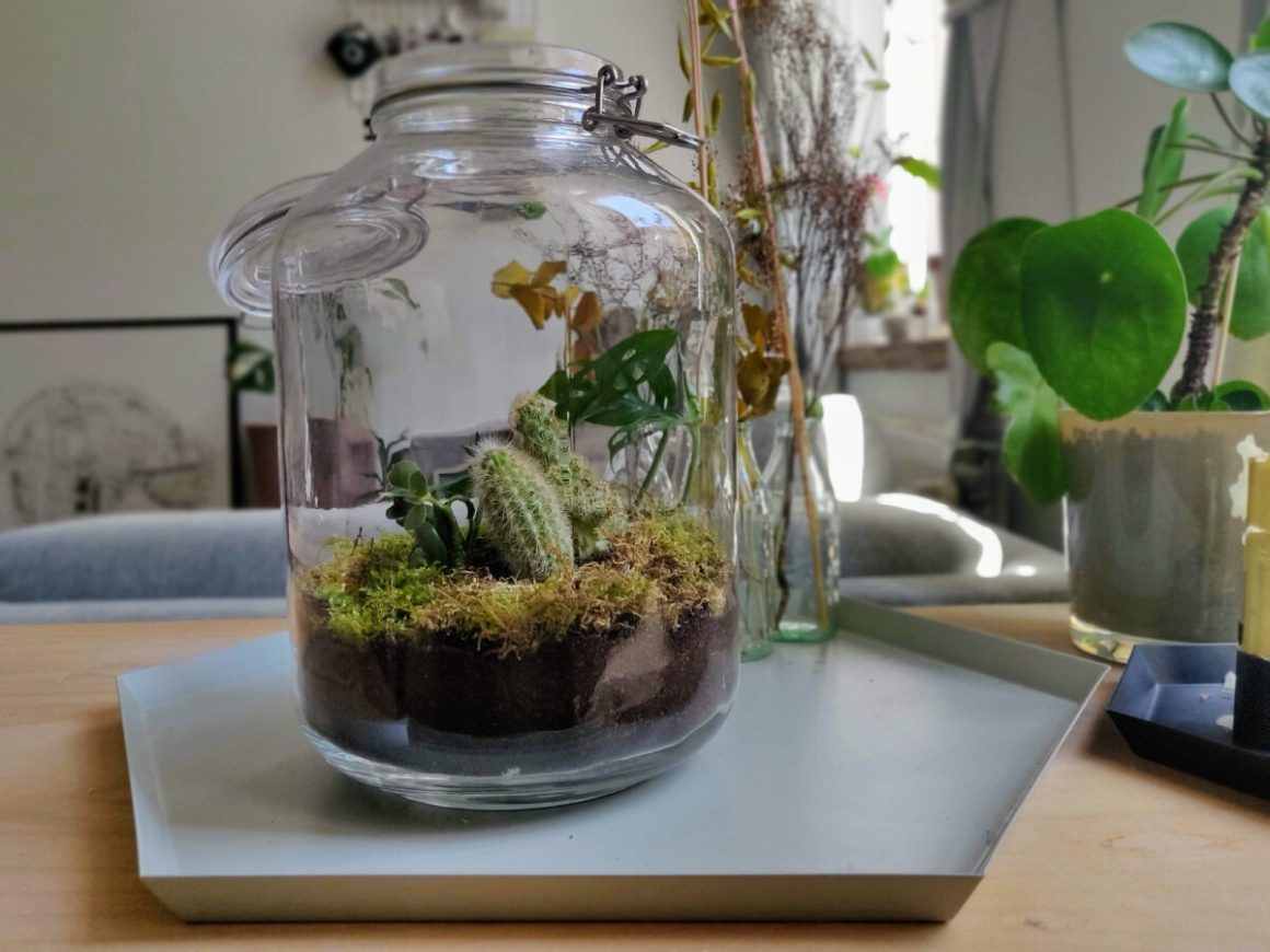 Un terrarium DIY printemps confectionné dans un grand bocal