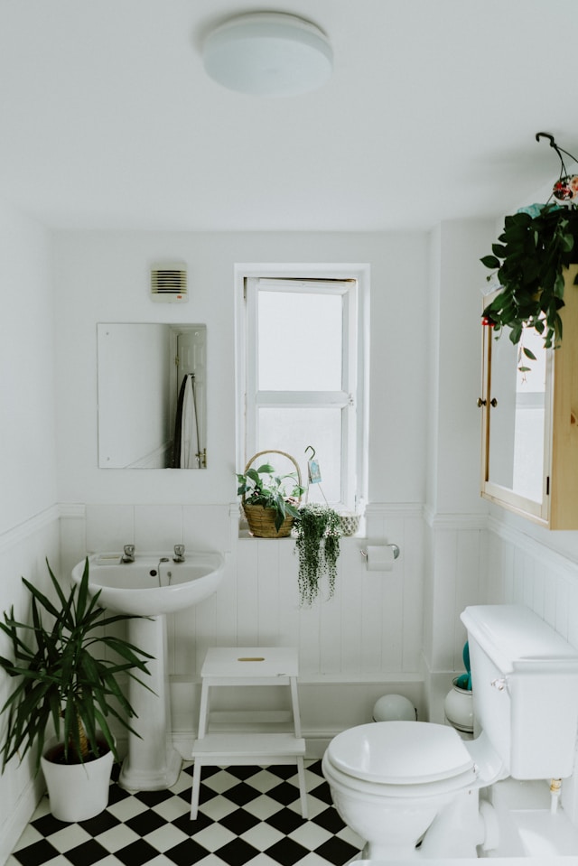 une idée déco pour une petite salle de bain blanche et lumineuse décorée de verdure