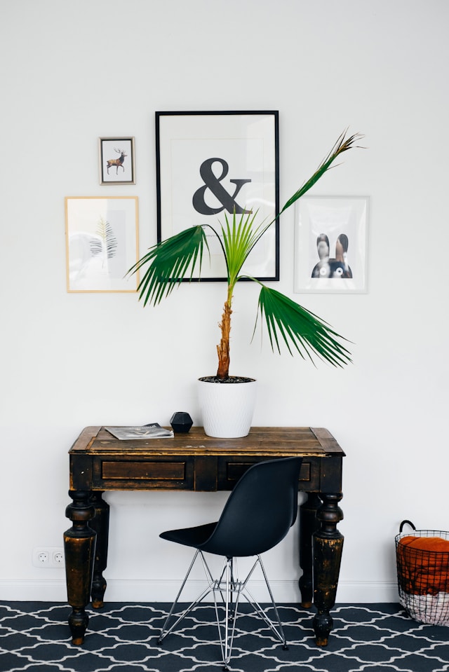 Un espace de travail minimaliste avec un bureau, une chaise et une plante d'intérieur.
