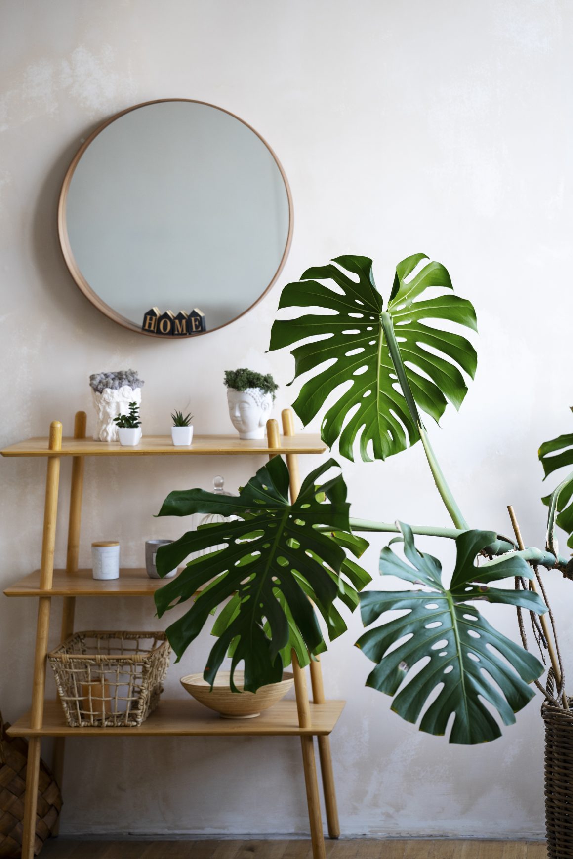 miroir rond avec étagères en bois et plante palmier nain