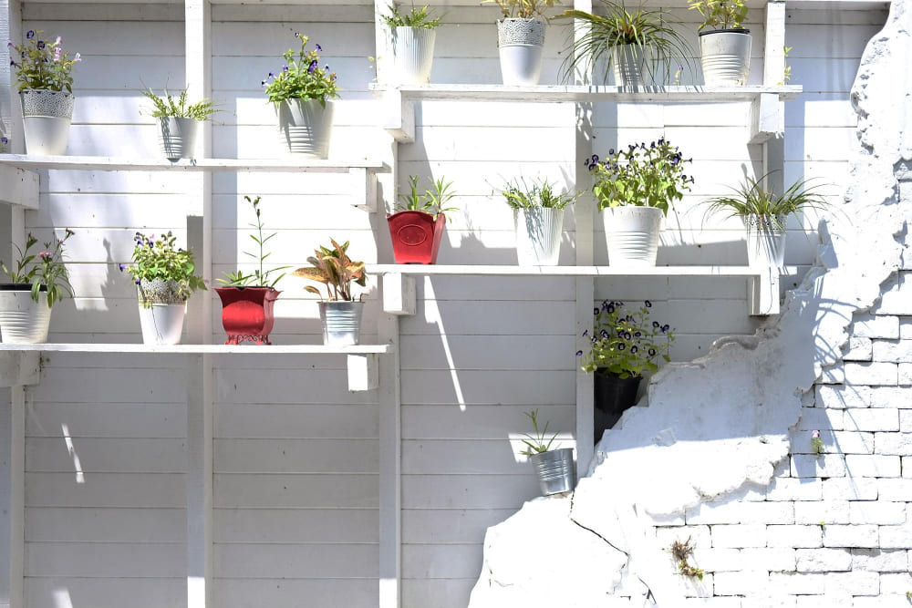 des étagères blanches contre le mur, avec des pots de fleurs dessus