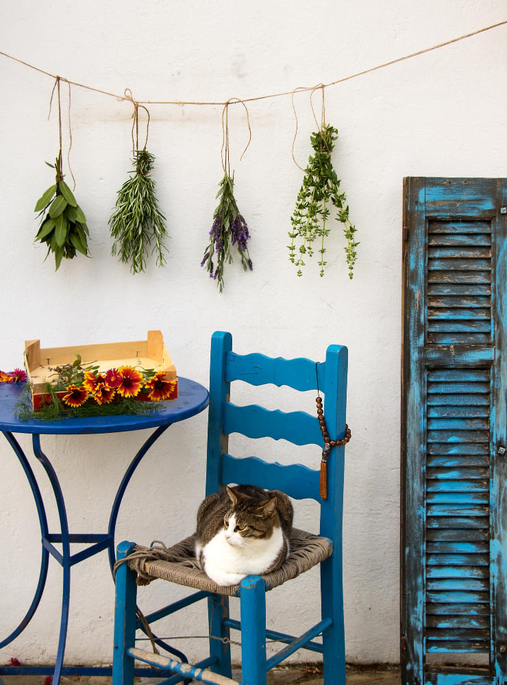 des bouquets de plantes séchées retournées et suspendues en guirlande au-dessus du balcon, avec un volet déco et du mobilier bleu