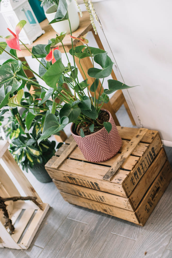 une caisse en bois retournée accueille un pot de fleurs