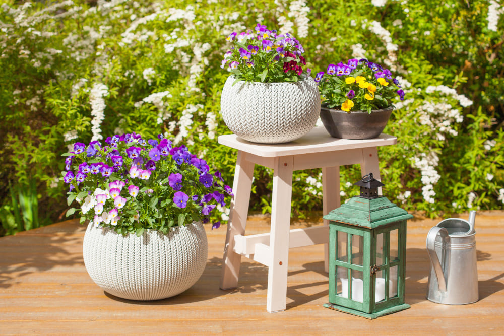 une décoration jardin extérieur réalisée avec des pots de fleurs, une lanterne et un arrosoir en métal