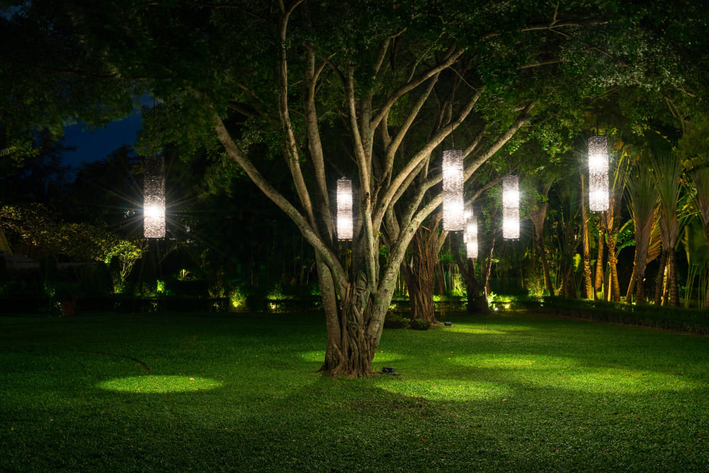 des suspensions lumineuses allumées accrochées dans les branches d'un arbre