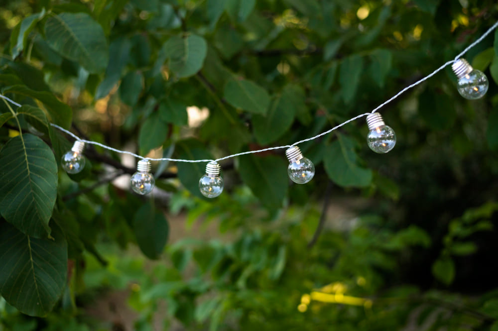 une guirlande lumineuse dans un arbre