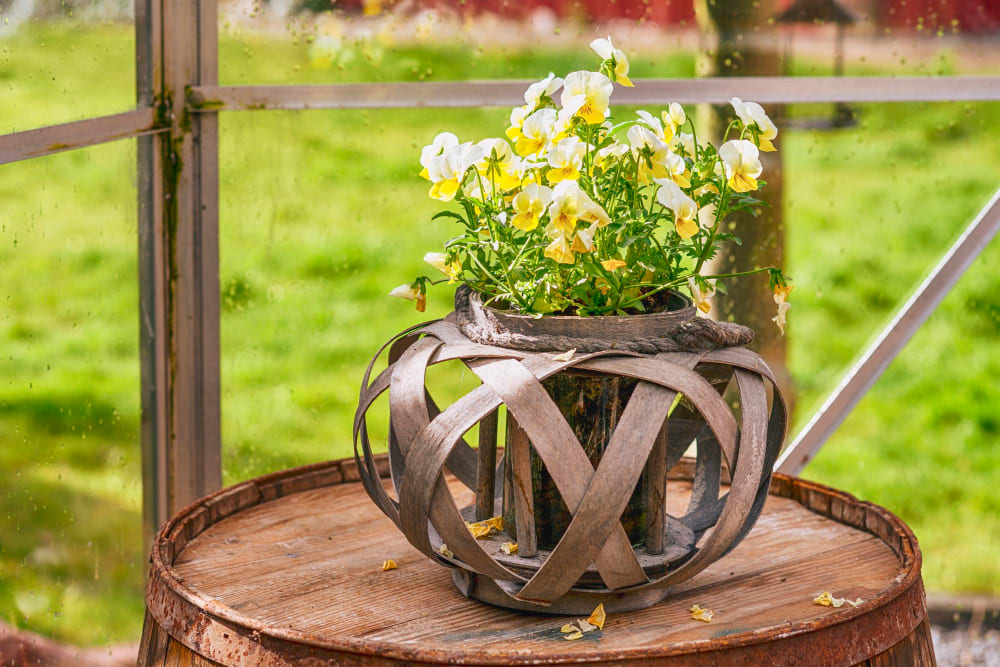 un pot de fleur tendance en bois sur un tonneau
