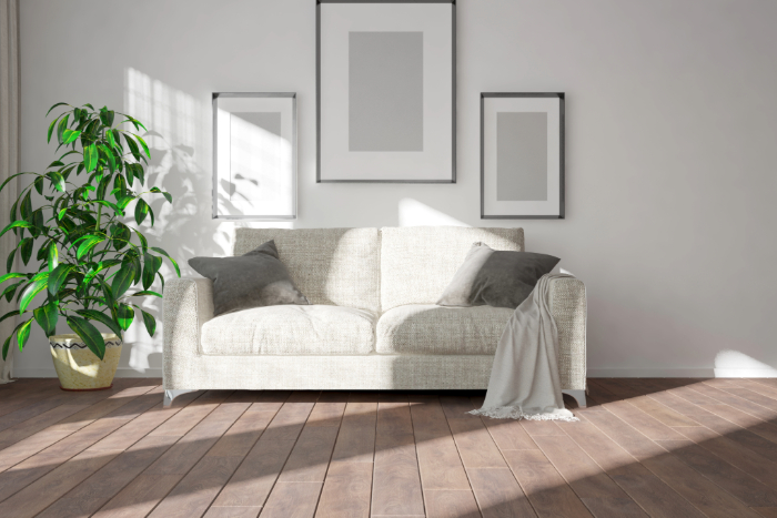 Canapé beige simple avec deux coussins gris, plaid, trois cadres muraux minimalistes, grande plante verte, lumière naturelle et sol en bois.