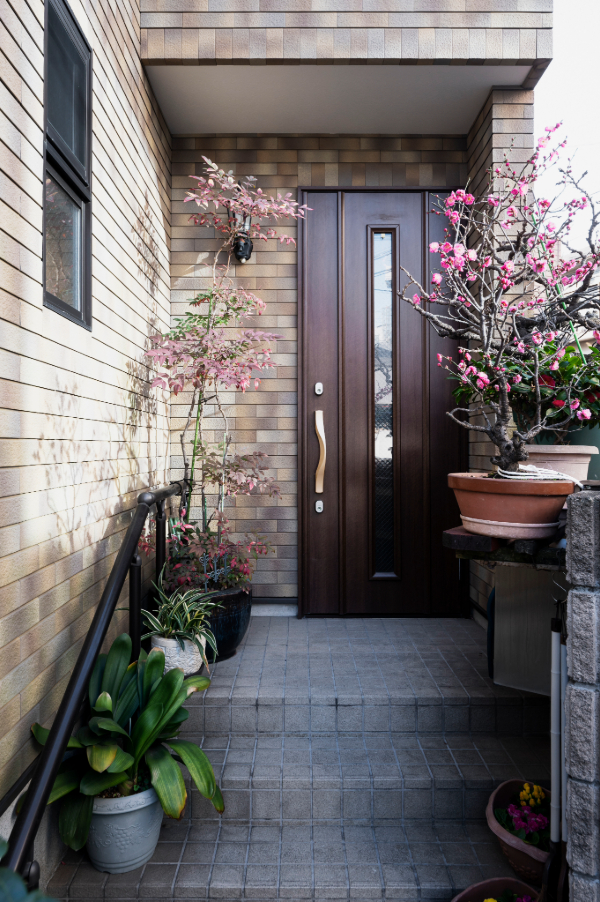 Entrée maison accueillante avec lumière incluant porte en bois moderne, entourée de plantes en pots avec fleurs roses.