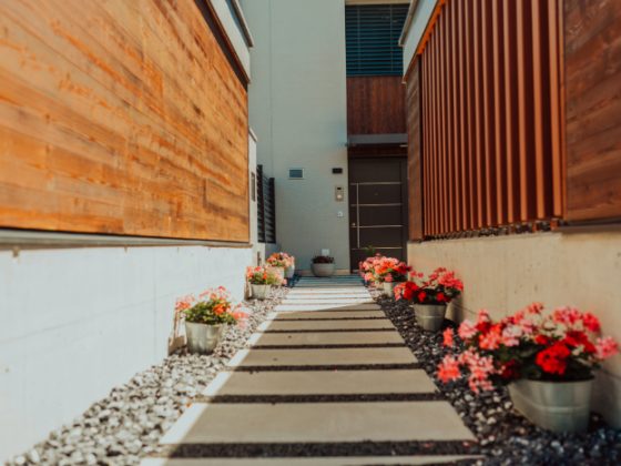 Aménagement extérieur devant maison avec dalles rectangulaires, murs en bois, pierres décoratives et fleurs colorées en pots.