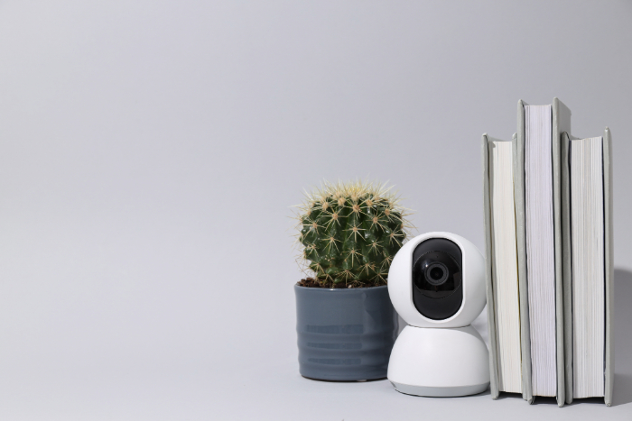 Caméra de sécurité blanche, cactus en pot et trois livres empilés.
