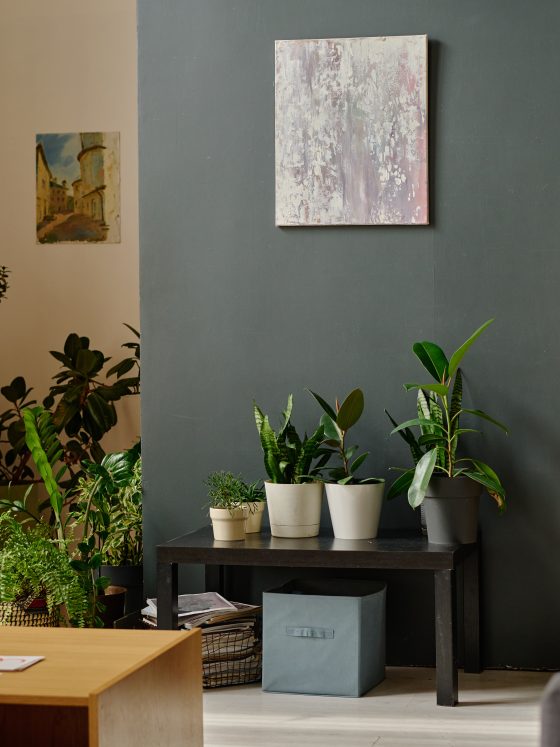 Déco éco-responsable d'un intérieur cosy incluant des plantes, mobilier en bois recyclé et tableaux artistiques.