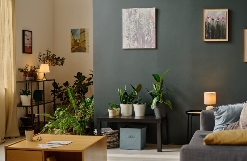 Déco éco-responsable d'un intérieur cosy incluant des plantes, mobilier en bois recyclé et tableaux artistiques.