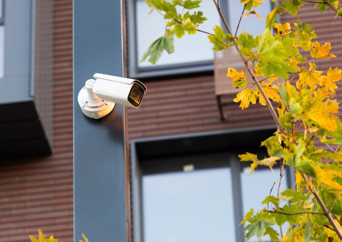 Caméra de surveillance blanche fixée sur poteau près d'arbre feuillu.