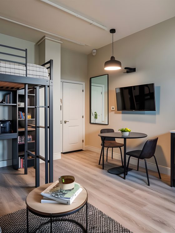 Aménagement petit appartement 30m2 avec mezzanine, coin repas, petite cuisine et canapé.