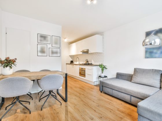 Studio avec cuisine et salon incluant canapé gris, table en bois, chaises grises et décor minimaliste.