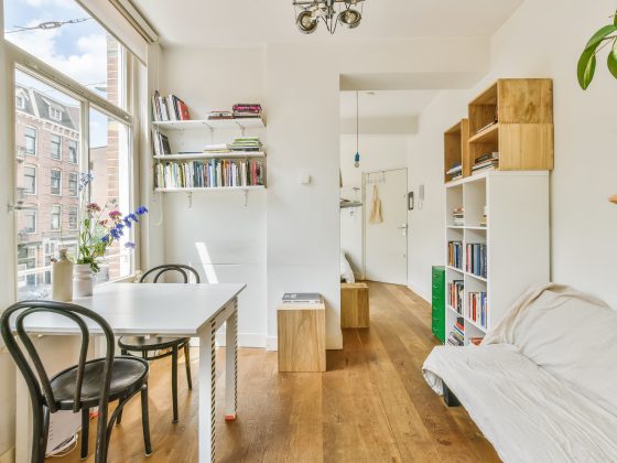 Décoration pour petit appartement cosy avec des couleurs claires, plantes et étagères ouvertes.