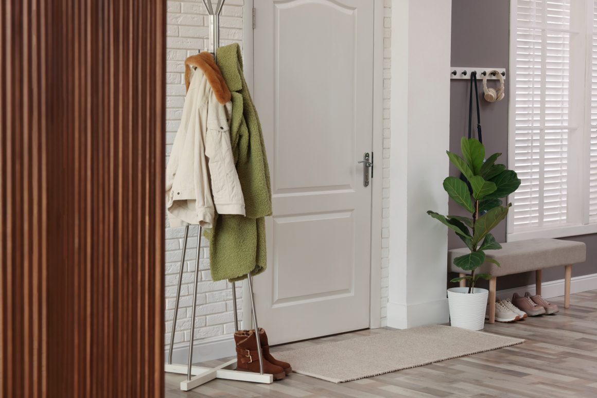 Entrée moderne avec tapis beige, portemanteau, plante, banc et chaussures.