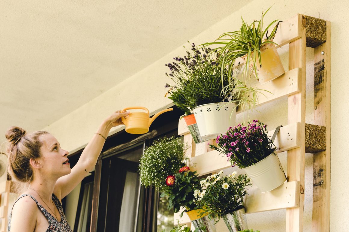 Une femme arrose des plantes en pots accrochés sur une palette en bois fixée à un mur extérieur.